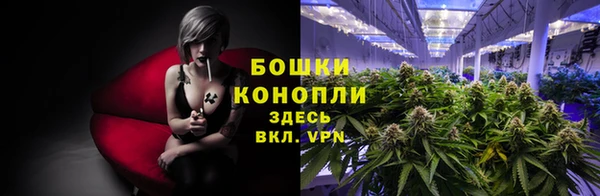 Альфа ПВП Нефтекумск