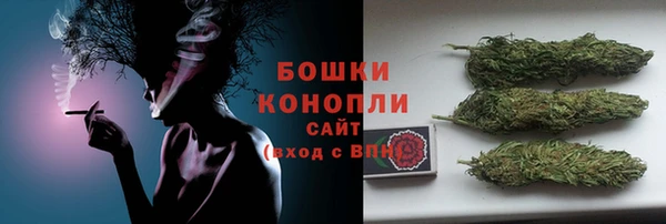 гидра Нея