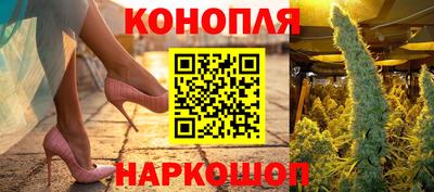 сатива Жуковский