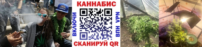 omg ONION Качканар Бошки Шишки тримм